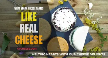Vegan Cheese: Real Taste, No Dairy