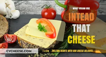Vegan Cheeses: Delicious Dairy-Free Alternatives