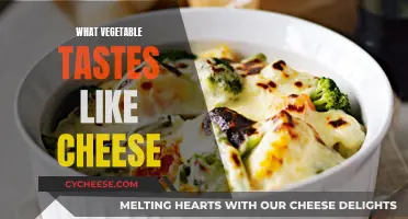 Cheese-like Veggies: Surprising Taste Bud Twists
