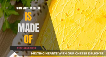 Velveeta Cheese: A Closer Look at Its Ingredients