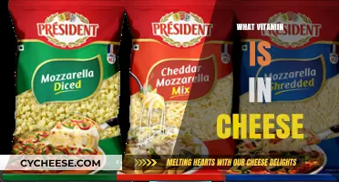 Discover the Essential Vitamins Hidden in Cheese: A Nutritional Guide