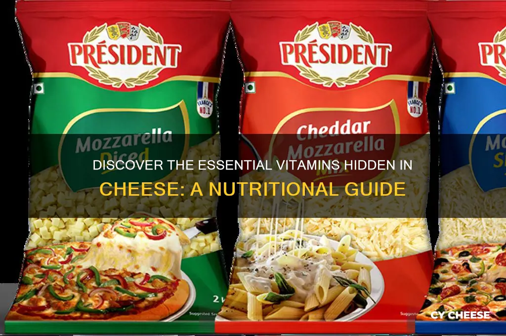 what vitamin is in cheese