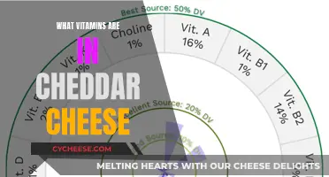 Unveiling the Nutritional Secrets: Vitamins in Cheddar Cheese