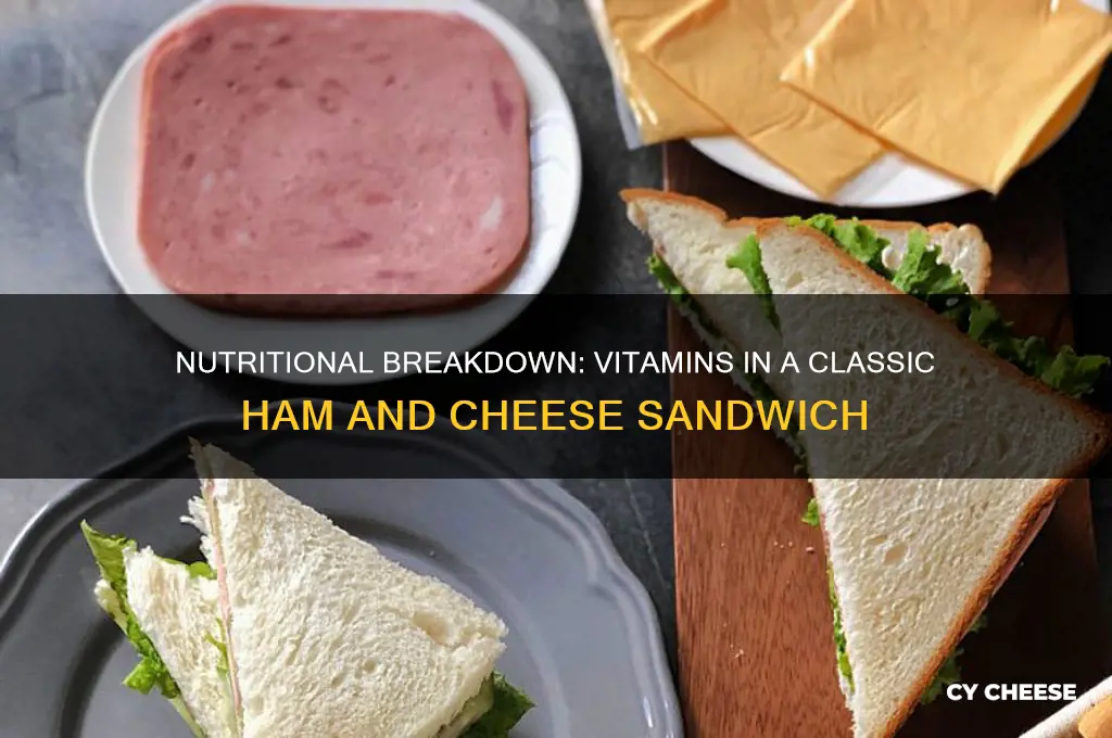 what vitamins are in ham and cheese sandwich