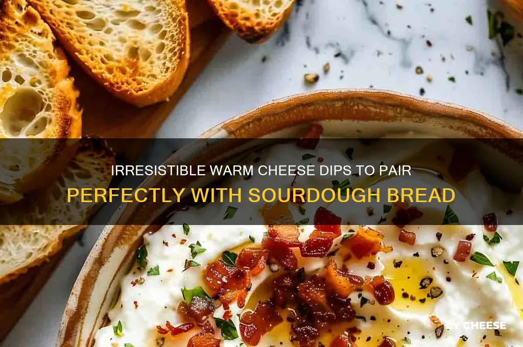 what warm cheese dip to add with sour dough bread