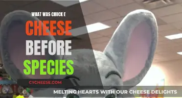 The Evolution of Chuck E. Cheese's Brand Identity