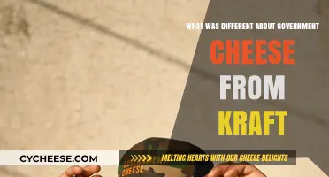 Government Cheese vs. Kraft: Uncovering the Surprising Differences