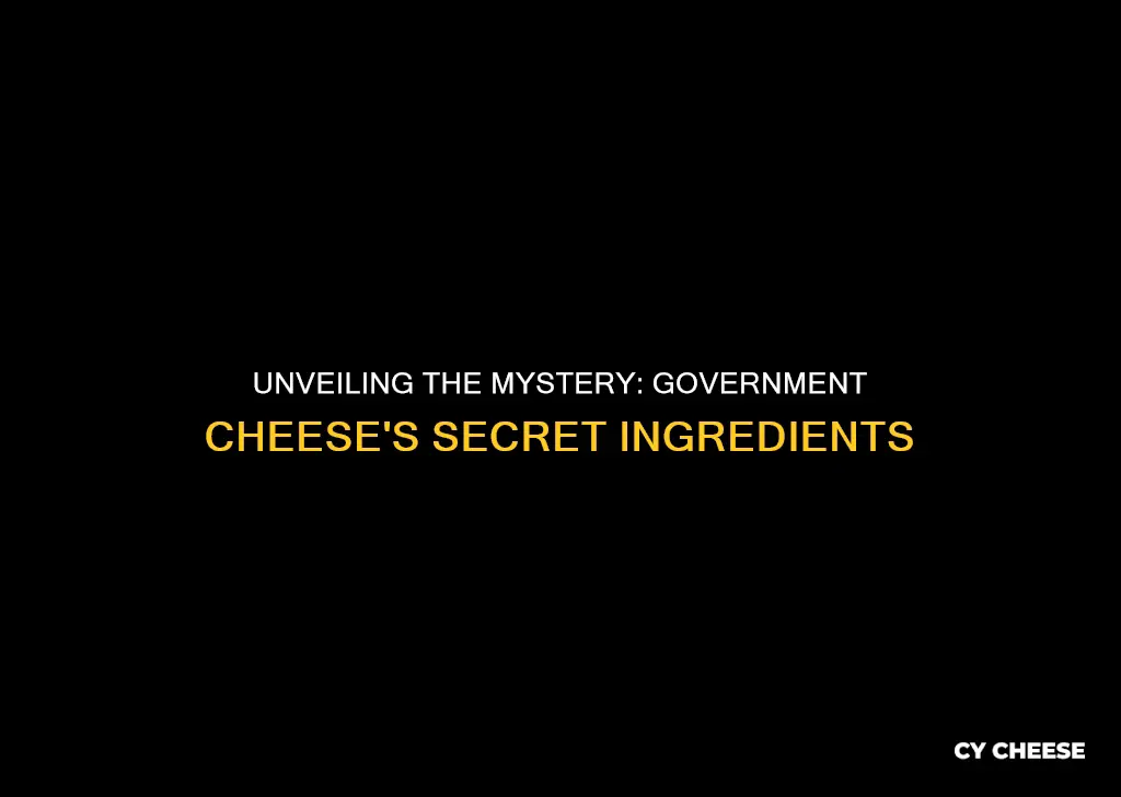 what was government cheese made of