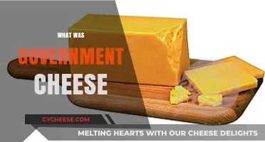 Unraveling the Mystery of Government Cheese: A Historical Food Program