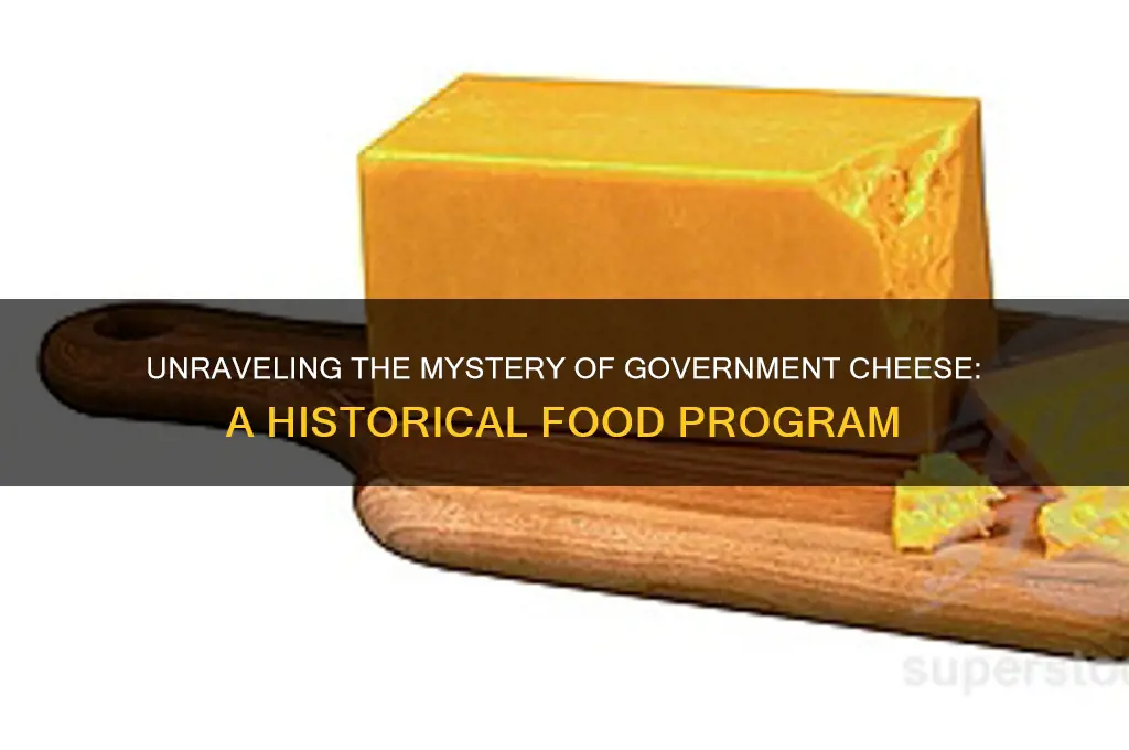 what was government cheese