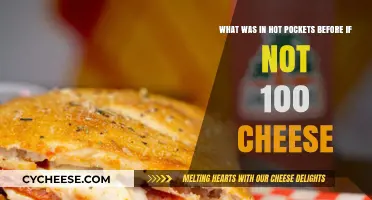 Unveiling Hot Pockets' Mystery: What Filled Them Before 100% Cheese?