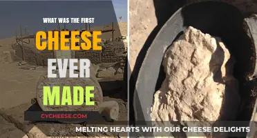 Ancient Origins: Unveiling the First Ever Cheesemaking