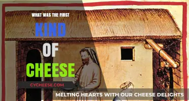 The Ancient Origins of Cheese: Uncovering the First Kind