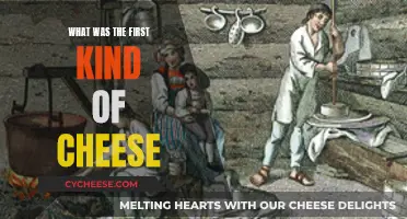 The First Cheese: A Historical Overview