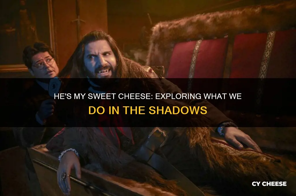 what we do in the shadows he