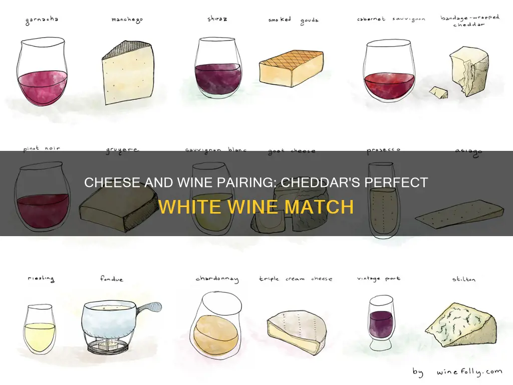 what white wines go best with cheddar cheese