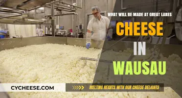 Crafting Cheesy Delights: Great Lakes Cheese's Wausau Adventure