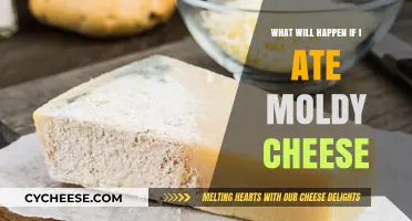 Moldy Cheese Risks: Symptoms, Dangers, and When to Seek Help