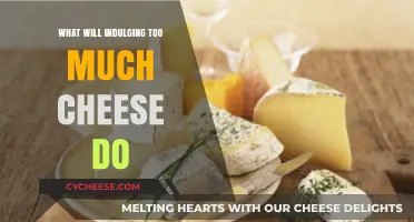 Cheese Overload: Health Risks of Indulging in Too Much Cheese