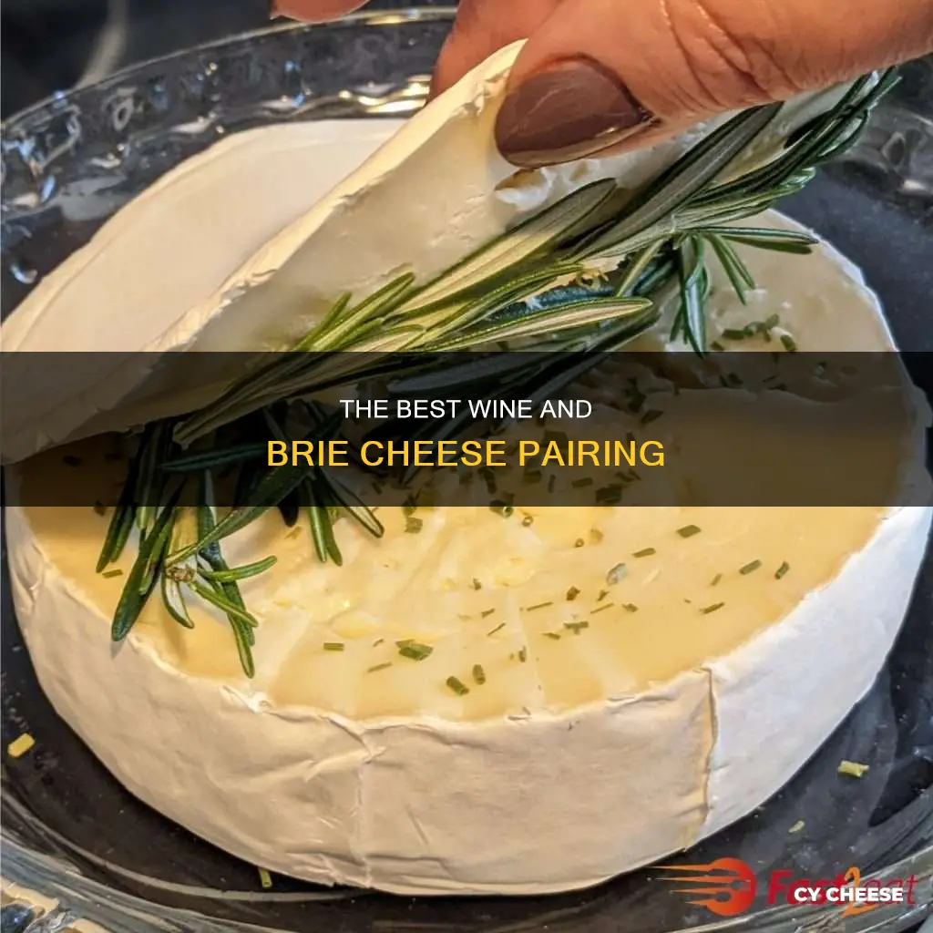 what wine do you serve with brie cheese