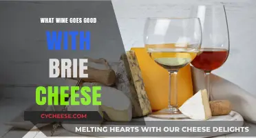 Perfect Pairings: Best Wines to Complement Creamy Brie Cheese