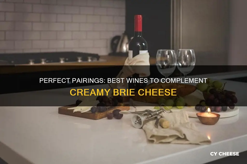 what wine goes good with brie cheese