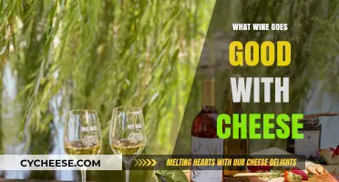 Perfect Pairings: Best Wines to Complement Your Cheese Board