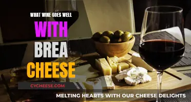 The Perfect Wine and Brie Cheese Pairing Guide