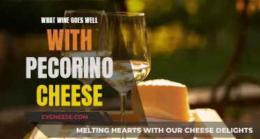 The Perfect Wine and Pecorino Cheese Pairing