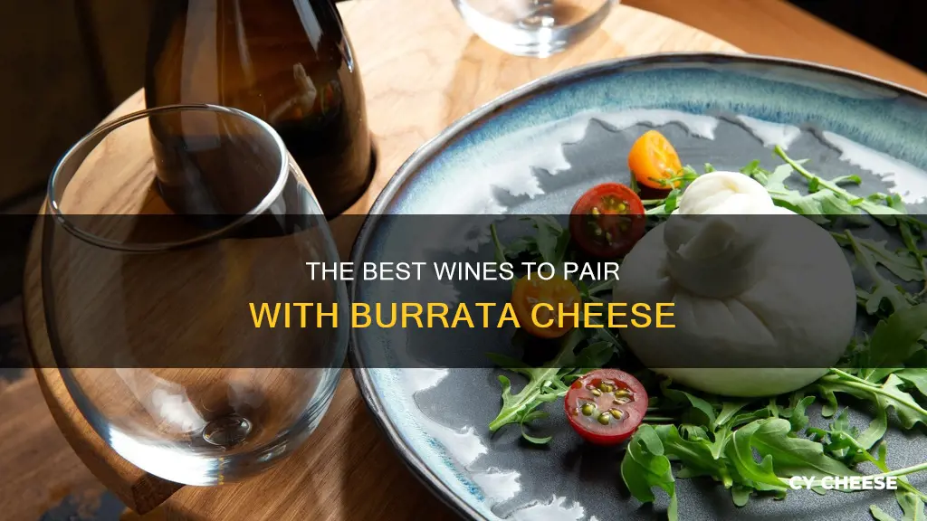 what wine goes with burrata cheese