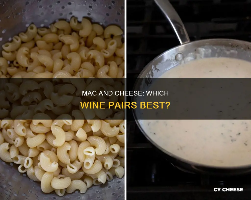 what wine to serve with macaroni and cheese