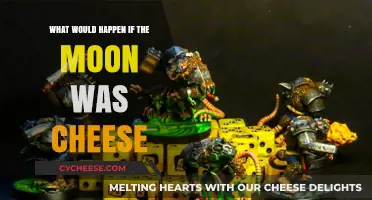 If the Moon Was Cheese: A Tasty Cosmic Hypothesis