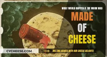 Cheesy Moon: A Cosmic Conundrum of Dairy Delights