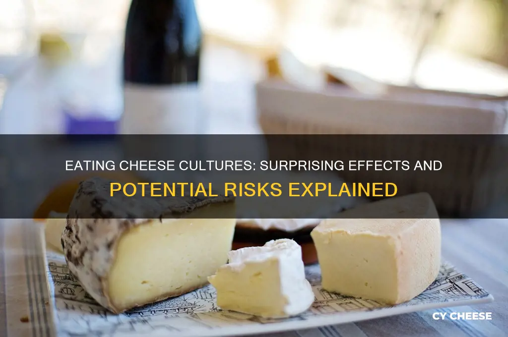 what would happen if you ate cheese cultures