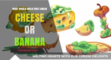 Which Food Molds First: Bread, Cheese, or Banana? A Comparison