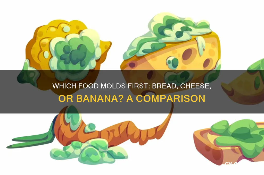 what would mold first bread cheese or banana