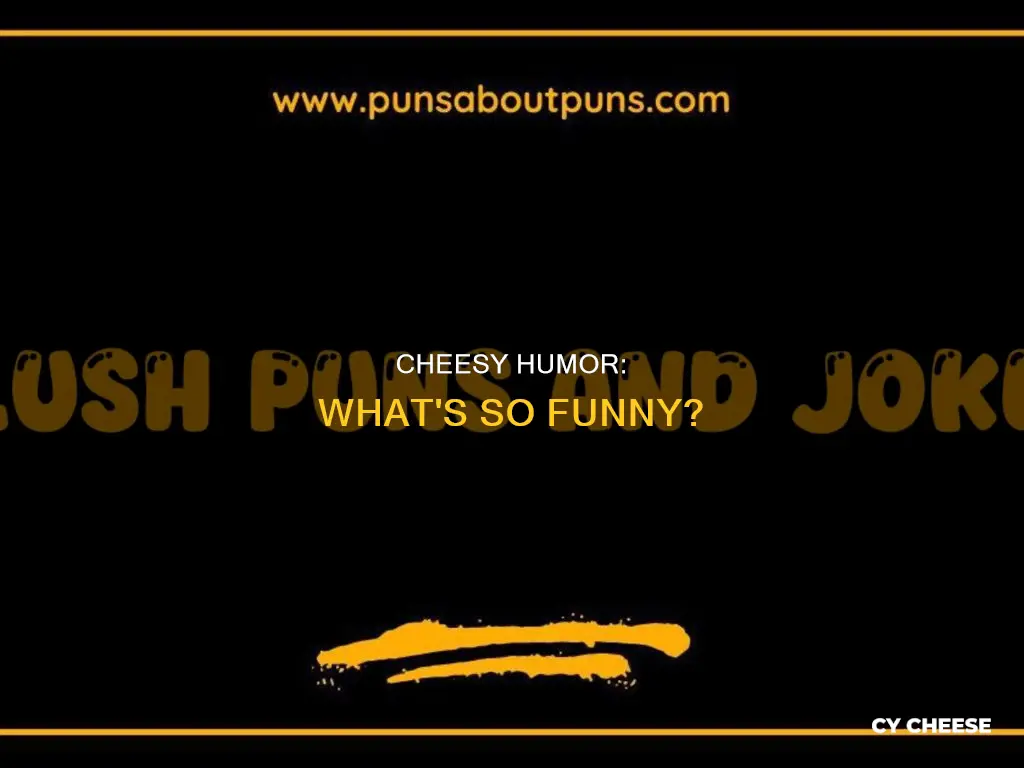 what would you describe a joke made by cheese