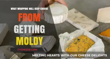 Cheese Wrapping Hacks to Prevent Mold