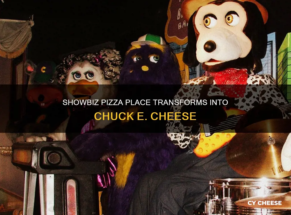 what year did showbiz became chuck e cheese