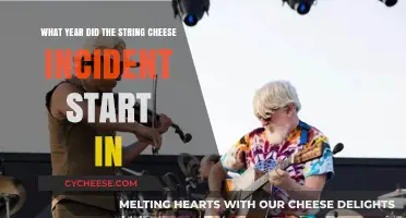 When Did String Cheese Incident Begin Their Musical Journey?