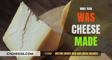 Cheese Through the Ages: A Historical Perspective