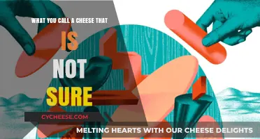 Uncertain Cheese: Exploring the Dilemma of Doubtful Dairy Delicacies