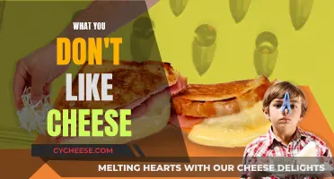 The Unappetizing Truth About Cheese: A Personal Perspective