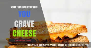 Why You Crave Cheese: Uncovering Your Body's Hidden Nutritional Needs