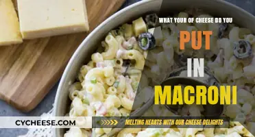 The Ultimate Cheese Guide for Macaroni