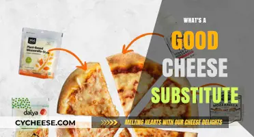 Discover the Best Cheese Alternatives for Your Dairy-Free Diet