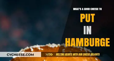 Best Cheesy Upgrade: Top Cheese Picks for Your Perfect Hamburger