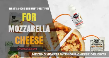 Best Non-Dairy Mozzarella Alternatives for Cheesy, Dairy-Free Delights