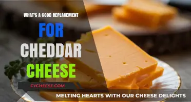 Cheddar Cheese Alternatives: Discover Tasty, Versatile Substitutes for Your Recipes