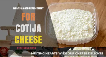 Discover the Best Cotija Cheese Substitutes for Your Recipes